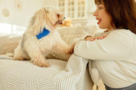 Side View Indoor Portrait Of Cute Little Chinese Crested Dog On Sofa Happy To See Her Female Owner Touching Her Arm With Paw, Woman Looking At Her Pet With Surprise And Joy, Wearing Red Lipstick