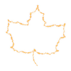 Fototapeta premium Leaf. Drawing of a plant on a white background. Stylization.
