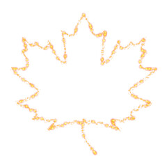 Leaf. Drawing of a plant on a white background. Stylization.