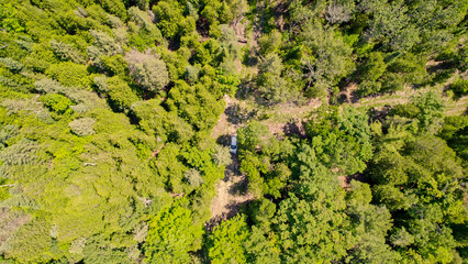 Aerial overhead of the car driving off road at green forest rural countryside with trees at summer. Mountain forest road with single car in the wilderness. Adventure and vacation.