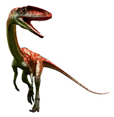 Obraz premium Coelophysis from the Triassic era 3D illustration 