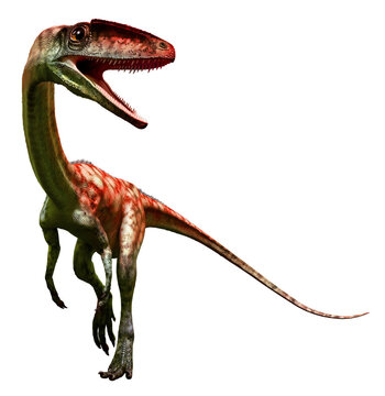 Coelophysis from the Triassic era 3D illustration	