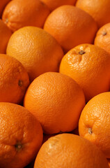 picked fresh oranges. background of ripe citrus fruits, food texture.