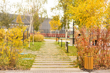 City street with autumn yellow, orange and red trees. Bright colorful view of fall foliage in a town. Autumn scene in city. Fallen leaves. Street lined with colorful trees.