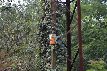 camera in the forest