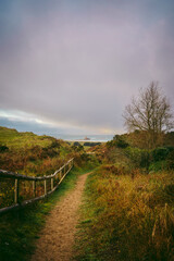 A beautiful path that leads through sand dunes in western Jersey backing the southern end of St Ouen's Bay