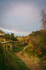 A beautiful path that leads through sand dunes in western Jersey backing the southern end of St Ouen's Bay