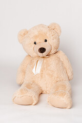 Obraz premium teddy bear on white background 
