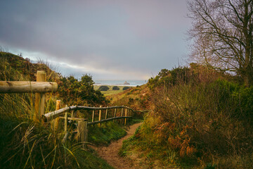A beautiful path that leads through sand dunes in western Jersey backing the southern end of St Ouen's Bay