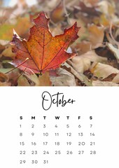 The month of october in the 2023 calendar with a autumn photo. Author's calendar for 2023 by month. - obrazy, fototapety, plakaty