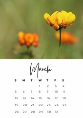 The month of march in the 2023 calendar with a spring photo. Author's calendar for 2023 by month.