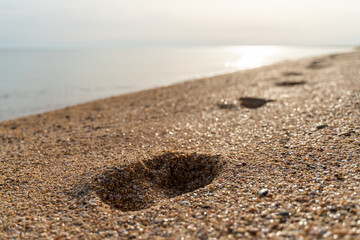Human footprint on sand summer beach background with copyspace