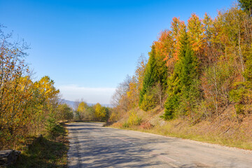 old mountain pass in fall season. countryside road trip on a sunny october forenoon. forested hills in colorful foliage