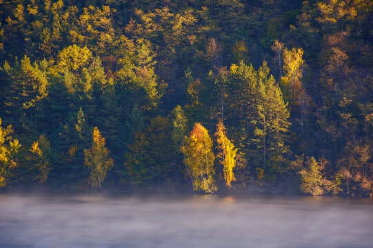 mountain lake on a sunny autumn morning. forest in colorful foliage on the hill. fog on the water glowing in warm light