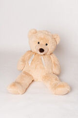 Teddybär auf hellem Hintergrund, Platz für Texte	