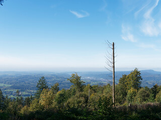 Hotzenwald im Südschwarzwald. Entlang Holzenpfad. Wunderbares Panorama über das Rheinthal