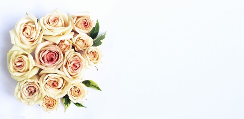 Cream roses on a white background. Delicate floral arrangement. Background for a greeting card.