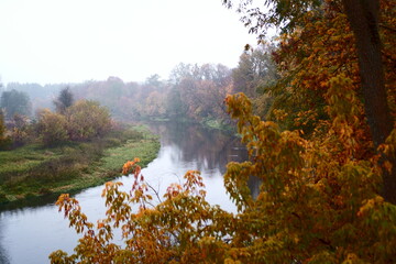 Autumn. The Wkra River  © BirdFoto