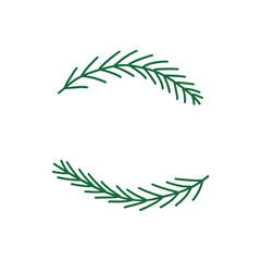 Spruce twigs. Set of two pine branches, evergreen tree. Colorful vector isolated illustration doodle hand drawn. Christmas tree twigs. Designe element frame