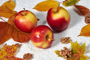 apples and autumn leaves