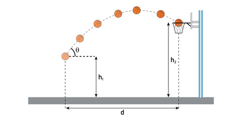 Basketball projectile motion diagram. parabolic curve. scientific vector illustration isolated on white background. - obrazy, fototapety, plakaty