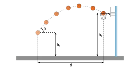 Fotobehang Basketball projectile motion diagram. parabolic curve. scientific vector illustration isolated on white background. © SAMYA