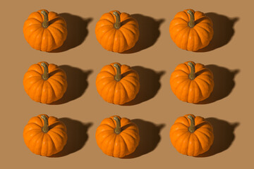 A seamless pattern of small ripe decorative orange pumpkin 