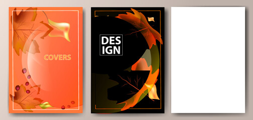 Set of abstract covers with autumn motifs