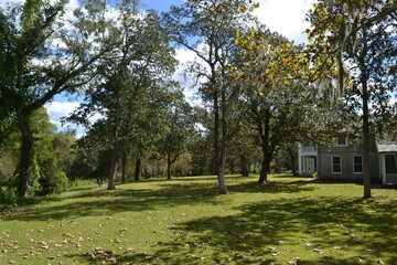 Amazing plantation's garden full of trees, West Virginia, Texas