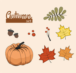 autumn set with orange pumpkin, maple leaves, acorns and rowan, cozy fall, halloween decoration, thanksgiving day, september, october, november, welcome autumn mood, flat background, poster
