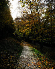 Fototapeta premium Fulda Herbst Altstadt