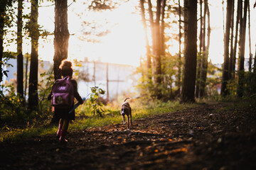 Pies biegnie do małej dziewczynki w jesiennym lesie - obrazy, fototapety, plakaty
