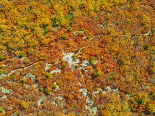 Fall Trail in the Mountains