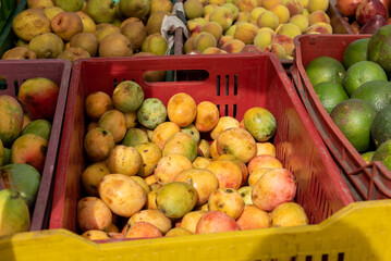 Box of mangoes for sale at a farmers market in Colombia.