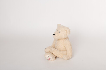 Teddybär auf hellem Hintergrund, Platz für Texte	