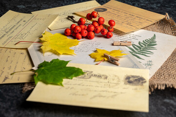 letter with autumn leaves - obrazy, fototapety, plakaty
