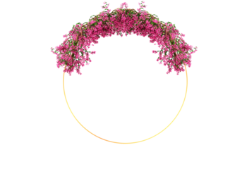 Flower foliage floral circle overlays, golden ring, backdrop overlays, maternity rings, art portrait photo, Digital Background, png