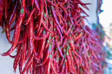 Fototapeta premium Garlands of paprika in the sunlight. Red peppers hung on the wall of the house to dry