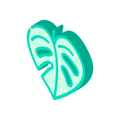Fototapeta premium monstera leaf plant isometric icon vector. monstera leaf plant sign. isolated symbol illustration