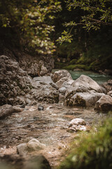 Stony flowing brook in the magic forest