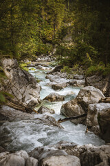 Flowing stream in the magic forest at the Hintersee in Ramsau. Berchtesgadener Land National Park, Germany