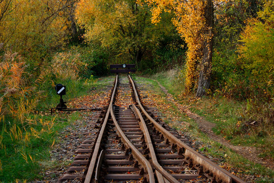 Railroad switch
