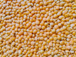 Dry Organic Orange Yellow Lentils, flat layout. Selective focus of lentils