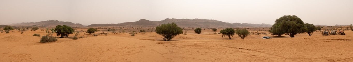  Amazing huge panorama landscape of lonely remote village surrounded by mountains, trees and sand in agadir desert of Souss-Massa park, in agadir, morocco © José Rego