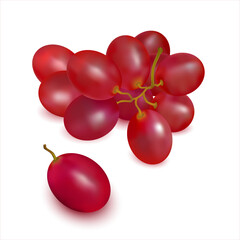 Ripe red grapes sprig close-up on white background. Cluster of fresh juicy grape. Wine grapes, table grapes. 3d realistic vector objects.