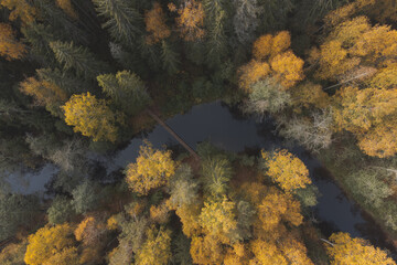 Winding river in the forest. Wooden footbridge over the river. Shades of autumn in a stunning park