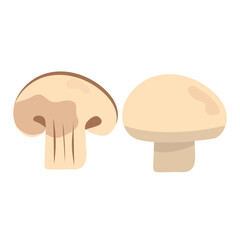 champignon mushrooms pieces vector
