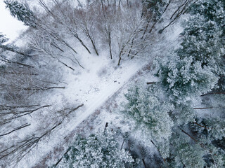 Weg im Wald im Schnee aus der Vogelperspektive