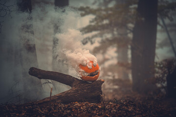 Halloween jack o lantern with smoke coming out in the forest