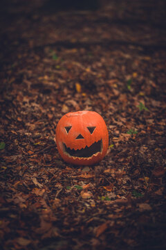 Halloween jack o lantern with smoke coming out in the forest